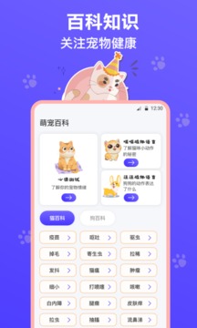 猫叫模拟器