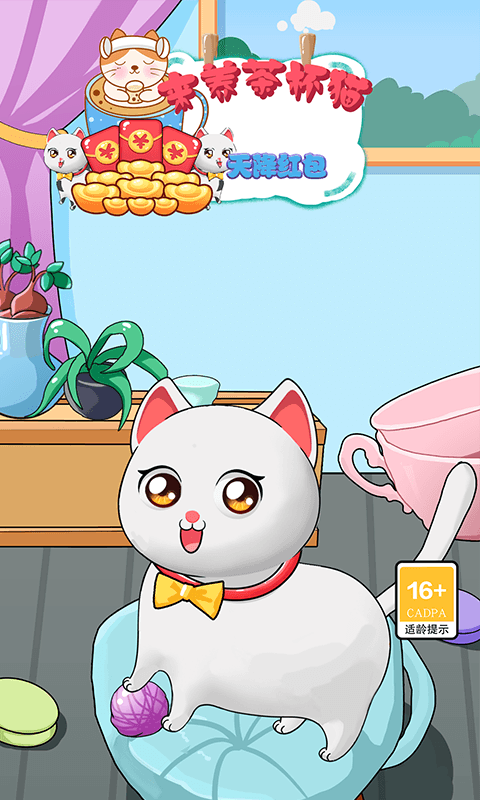 来养茶杯猫