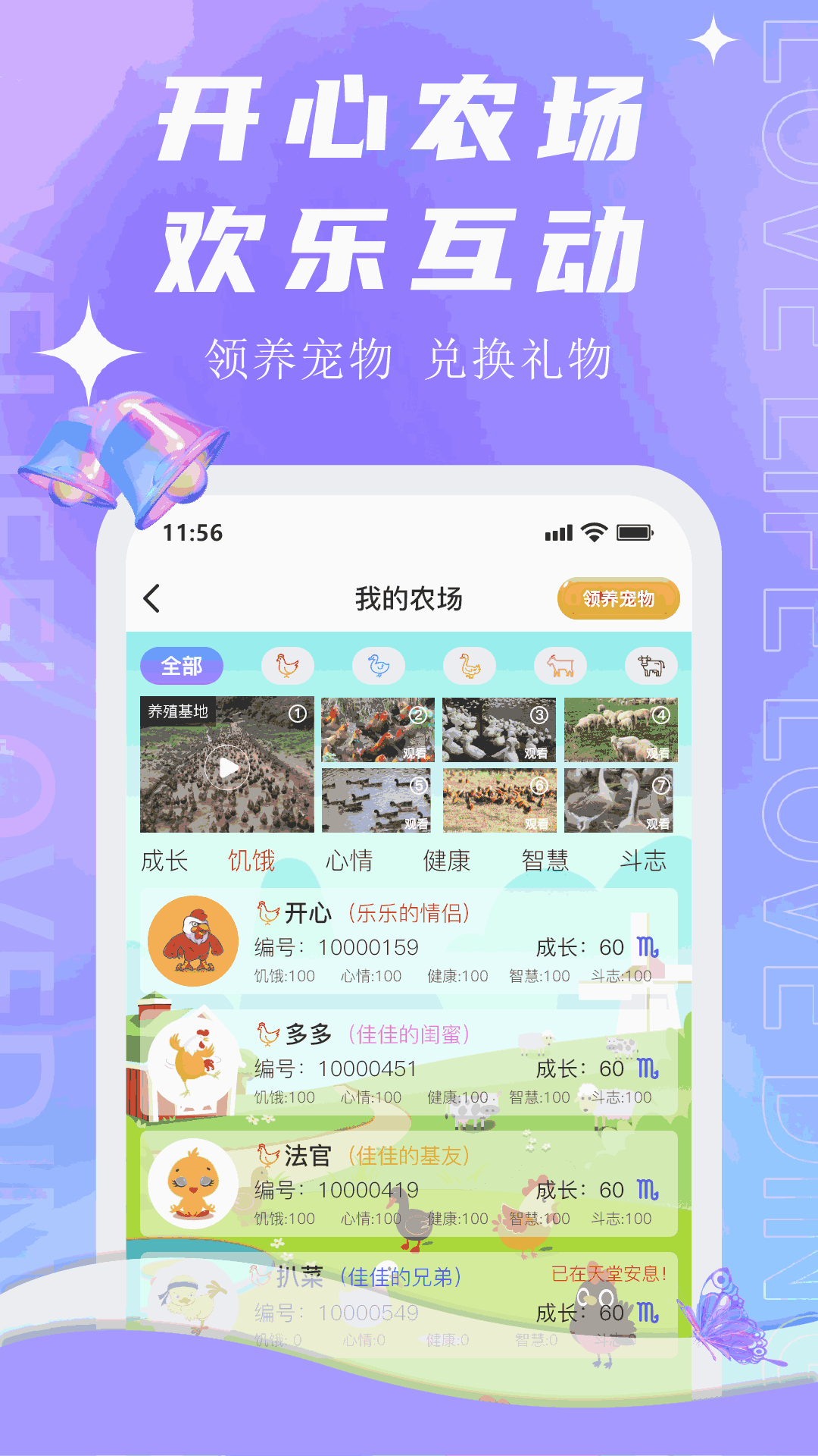 顶聊